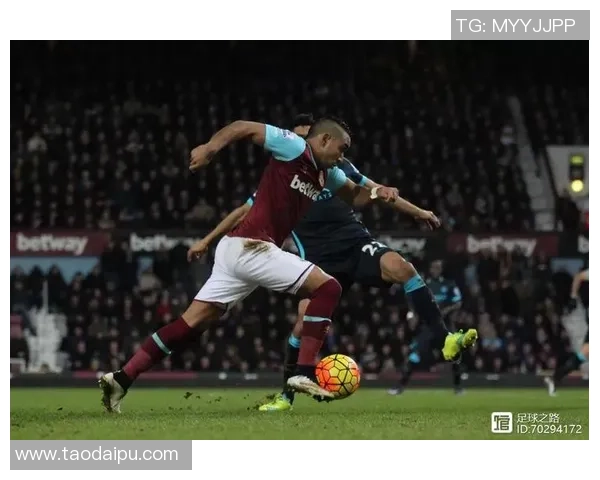 深圳足球队的耐力挑战与成长之路探讨